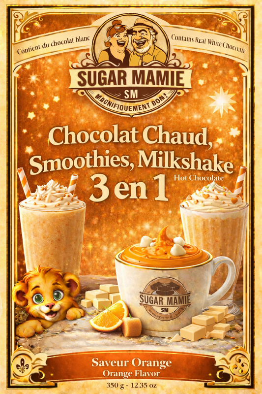 Familial 3 en 1 Chocolat chaud / smoothies/ milkshake à l'orange